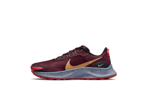 Nike Pegasus Trail 3 (da8697-600) bunt