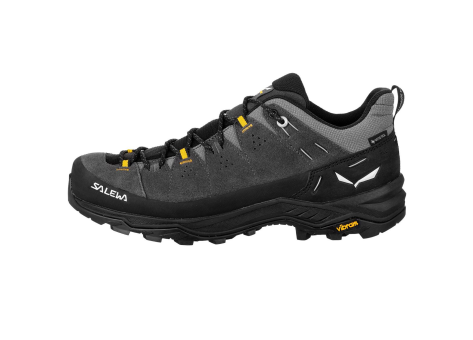 Salewa Alp Trainer 2 GTX (61400-0876) schwarz