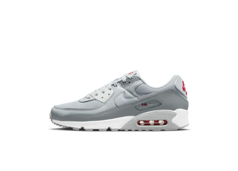 Nike Air Max 90 Grey (DM9102-001) grau