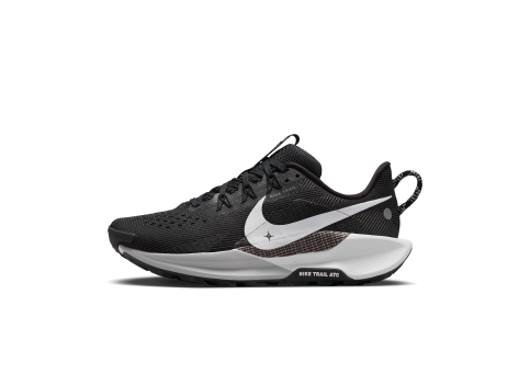 Nike Pegasus Trail 5 (DV3865-001) schwarz