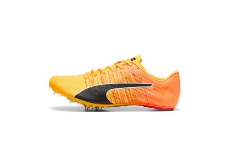 PUMA evoSPEED Future 6 (380023-01) bunt