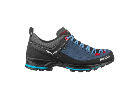 Salewa MTN Trainer GTX 2 (61358-8679) blau