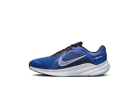 Nike Quest 5 (DD0204-401) blau