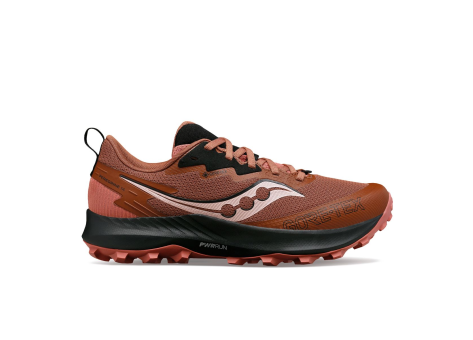 Saucony Peregrine 14 GTX (S10918-120) braun