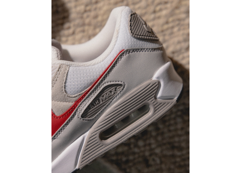 Nike Air Max 90 College Grey University (DM0029-113) bunt