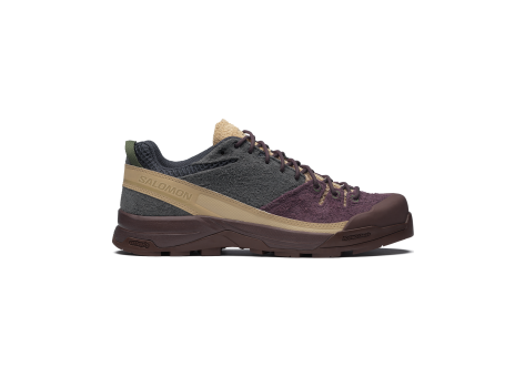 Salomon X ALP Suede (L47876200) bunt