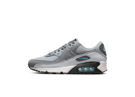 Nike Air Max 90 (DM0029-002) grau