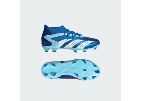 adidas Predator Accuracy.1 FG (IE9499) blau