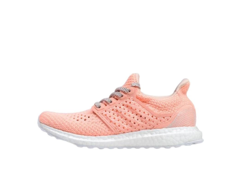 adidas Ultra Boost Clima V DAY (EE8909) pink