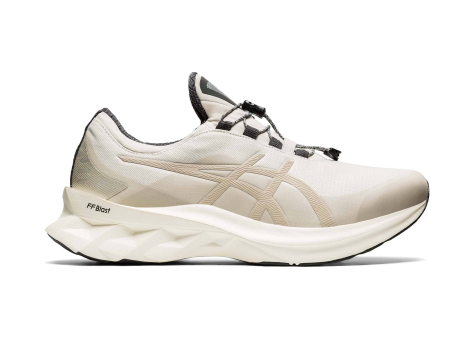 Asics Novablast Smoke Grey (1201A133-021) beige