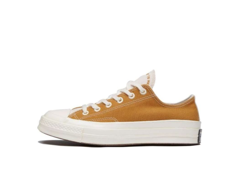 Converse Ivory 70 Chuck (165423C) braun