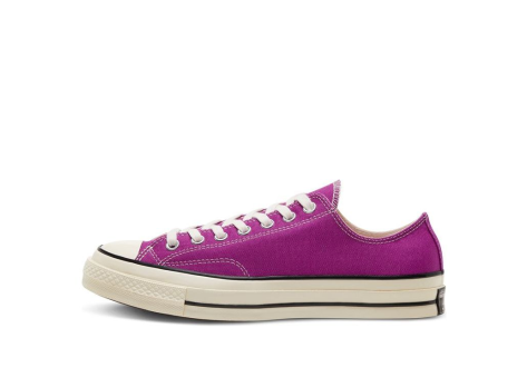 Converse Low Taylor All Star 70 Ox Chuck Cactus Flower (168506C) lila