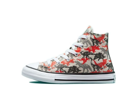 Converse Chuck Taylor All Star High GS Daze Dino (671598F) bunt