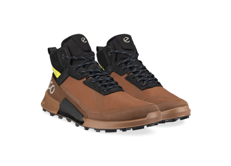 Ecco Biom 2.1 Mountain Mid GTX (823804-53379) braun