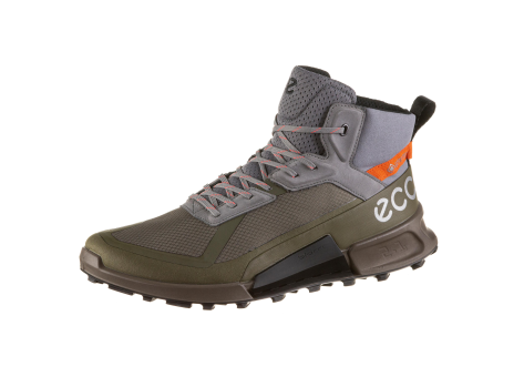 Ecco BIOM 2.1 X MTN M MID GTX (823804;60441) grün