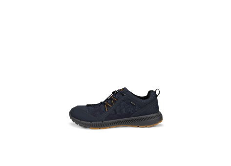 Ecco Terracruise II M GTX TEX (843064-51241) blau