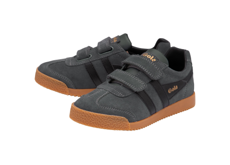 Gola Harrier (CKA192-GB) bunt