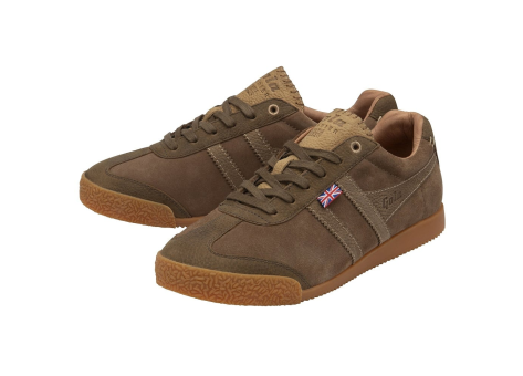 Gola Harrier Cambridge 2024 (CMB755-TT) braun