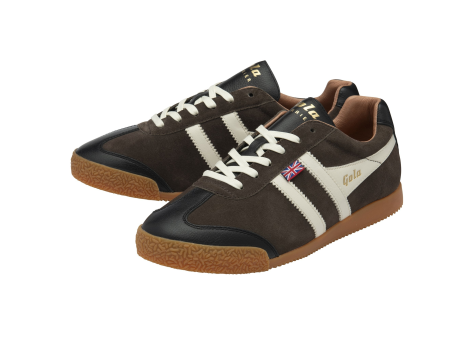 Gola Harrier Oxford 2024 (CMB752-TB) braun