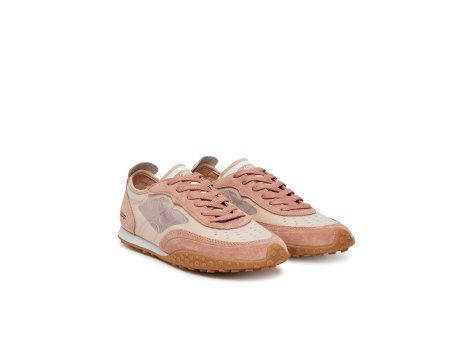 Hoff Tanager (12510001) bunt