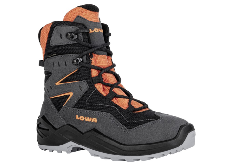 Lowa Lino GTX (650530-9728) bunt