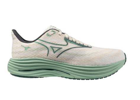 Mizuno Wave Rider 29 (J1GC250309) weiss