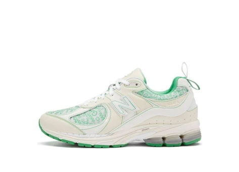 New Balance GANNI x 2002R Turtledove (M2002RGC) weiss