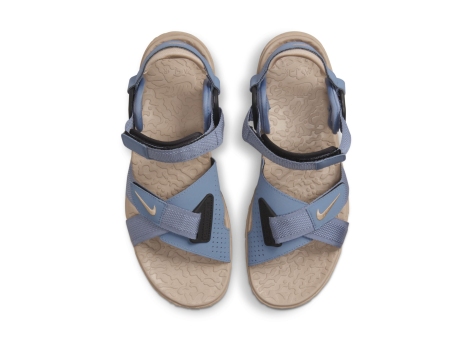 Nike ACG Air Deschutz Ashen Slate (DO8951-400) bunt