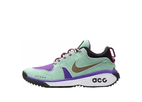 Nike ACG Dog Mountain (AQ0916-300) bunt