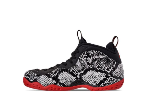 Nike Air Foamposite One (314996-101) bunt
