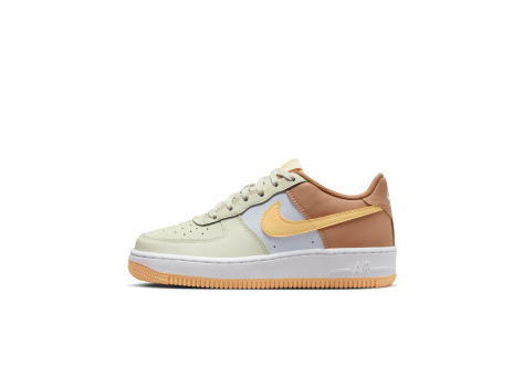 Nike Air Force 1 GS (CT3839-006) bunt