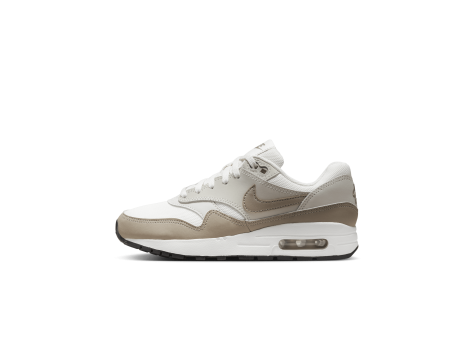 Nike Air Max 1 (DZ3307-006) grau