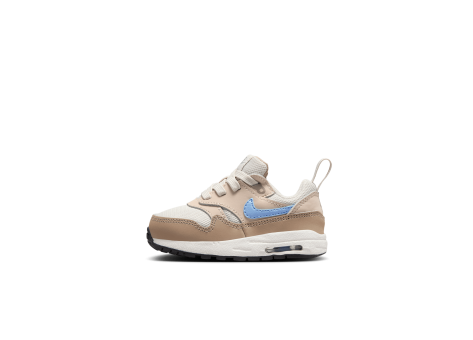 Nike Air Max 1 EasyOn (DZ3309-010) grau