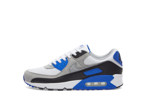 Nike Air Max 90 (DM0029 112) bunt