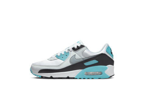 Nike Air Max 90 (FB8570-101) bunt