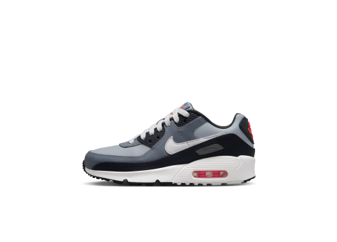 Nike Air Max 90 (HF6358-007) grau