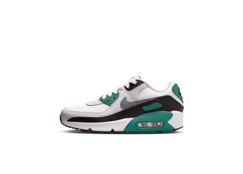 Nike Air Max 90 LTR (CD6864-300) bunt