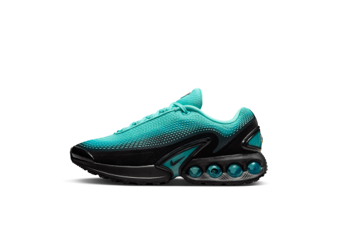 Nike Air Max Dn Premium Dusty Cactus Light Aqua Prm (HQ0013-300) bunt