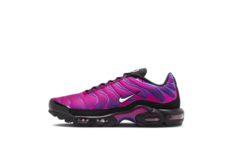 Nike Air Max Plus (604133 610) bunt