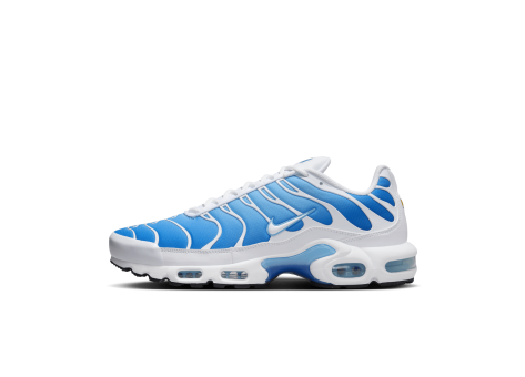 Nike Air Max Plus (852630 411) blau