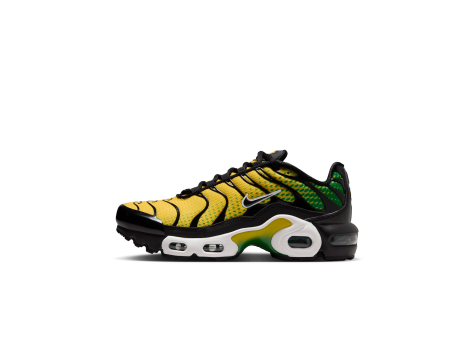 Nike Air Max Plus (IF6167-700) bunt