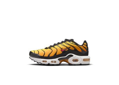 Nike Air Max Plus (CD0609-029) schwarz