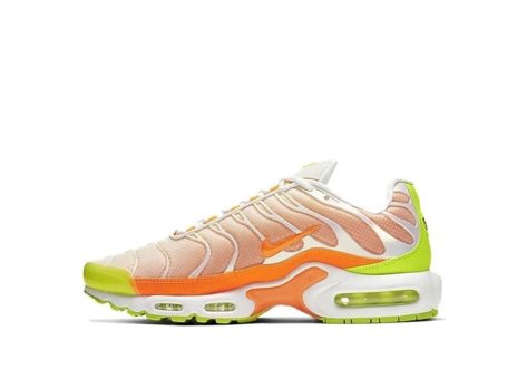 Nike Air Max Plus Color Flip Pack Grape (CI5924-531) bunt