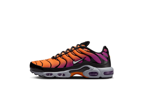 Nike Air Max Plus Desert Sunset (DM0032-014) bunt
