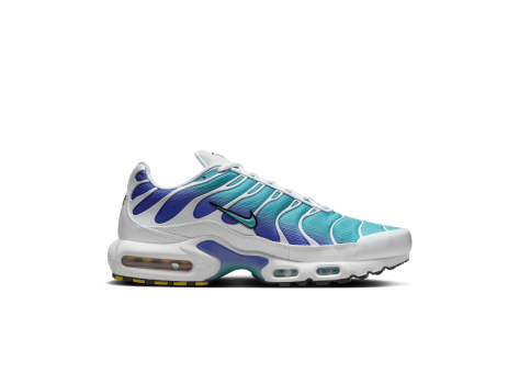 Nike Air Max Plus Aqua blau DM0032 102 Preisvergleich