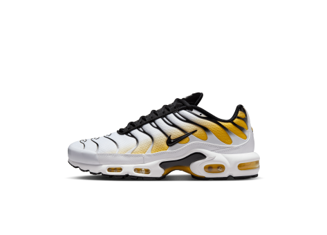 Nike Air Max Plus (DM0032-104) bunt