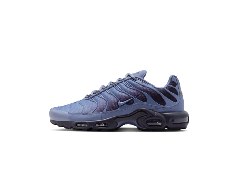 Nike Air Max Plus (DM0032-404) blau