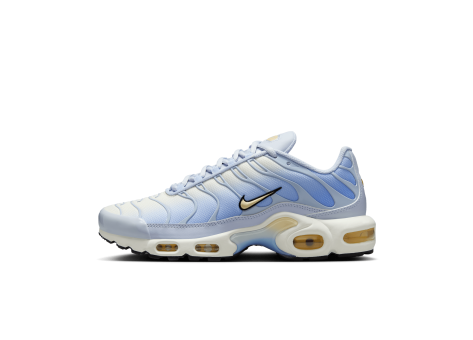 Nike Air Max Plus (DZ3670-004) grau