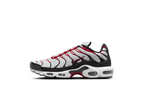 Nike Air Max (FN6949-002) grau