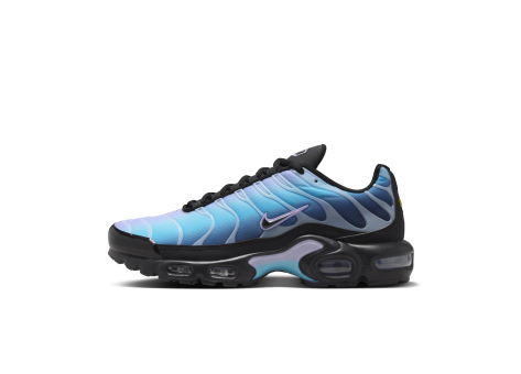 Nike Air Max (HV2510-001) schwarz